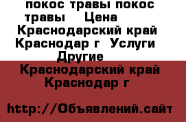 покос травы покос травы  › Цена ­ 100 - Краснодарский край, Краснодар г. Услуги » Другие   . Краснодарский край,Краснодар г.